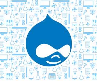 Drupal Website Designing & Development Agency in India