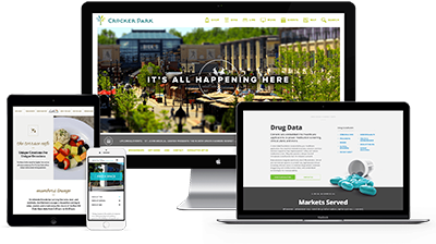 Responsive Web Designing company in Delhi